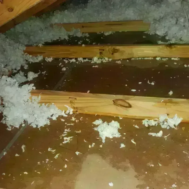 Attic Water Damage in Crystal Lake, FL