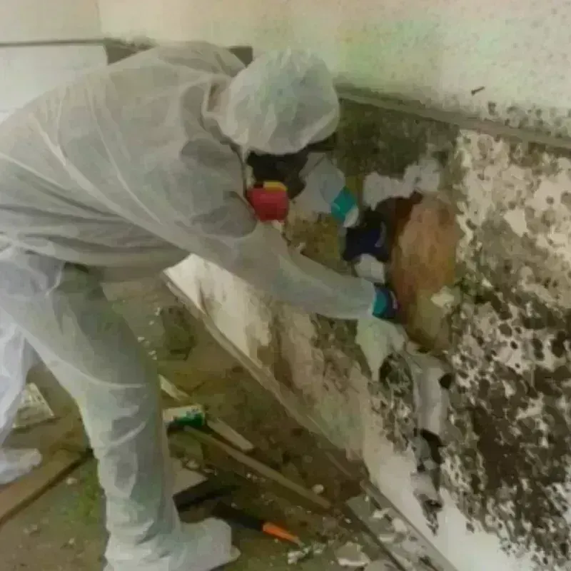 Mold Remediation and Removal in Crystal Lake, FL