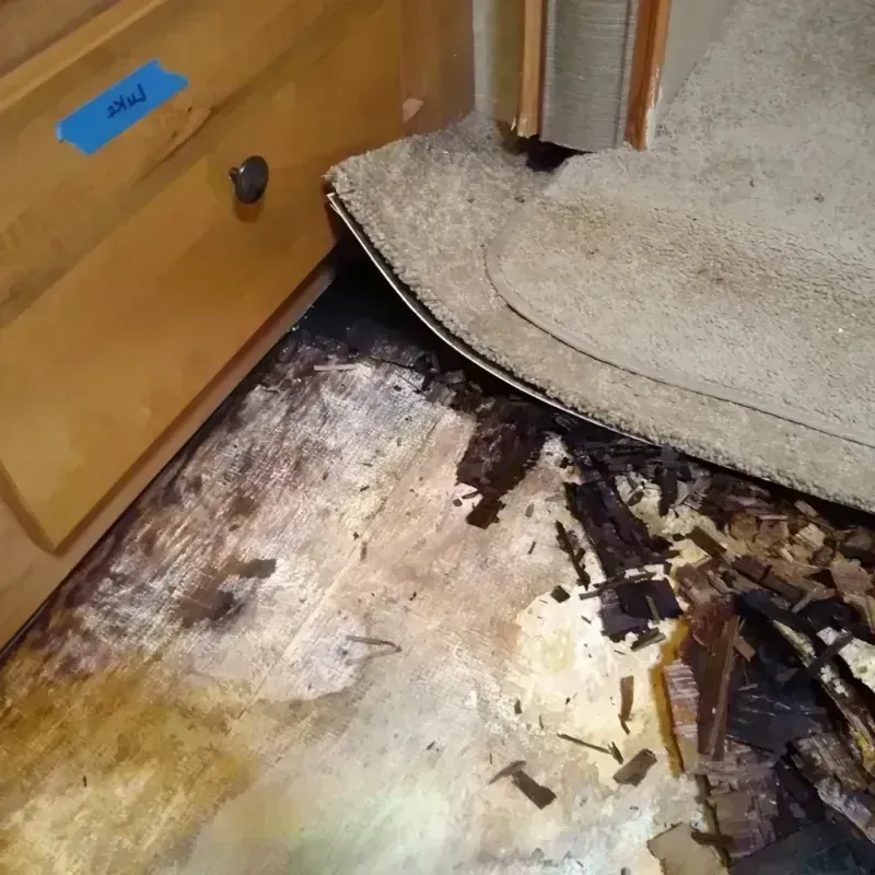 Best Wood Floor Water Damage Service in Crystal Lake, FL